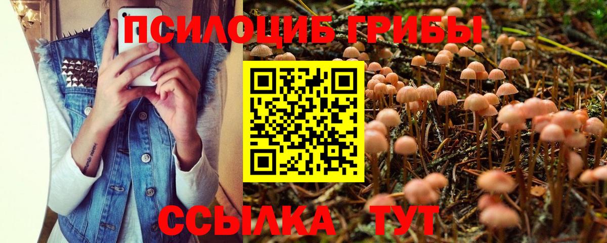 Псилоцибиновые грибы ЛСД Дивногорск