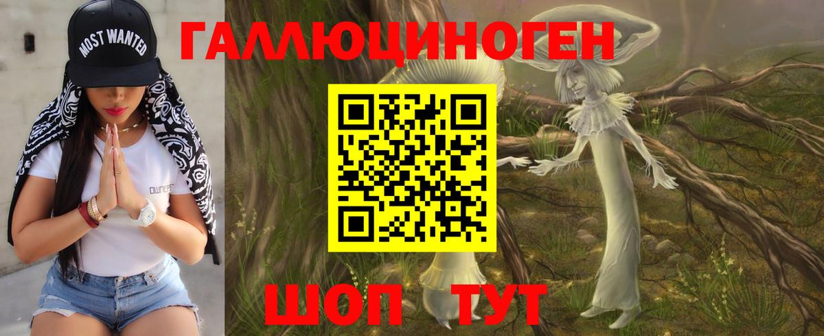 Галлюциногенные грибы Psilocybine cubensis  Вход с VPN  Дивногорск 